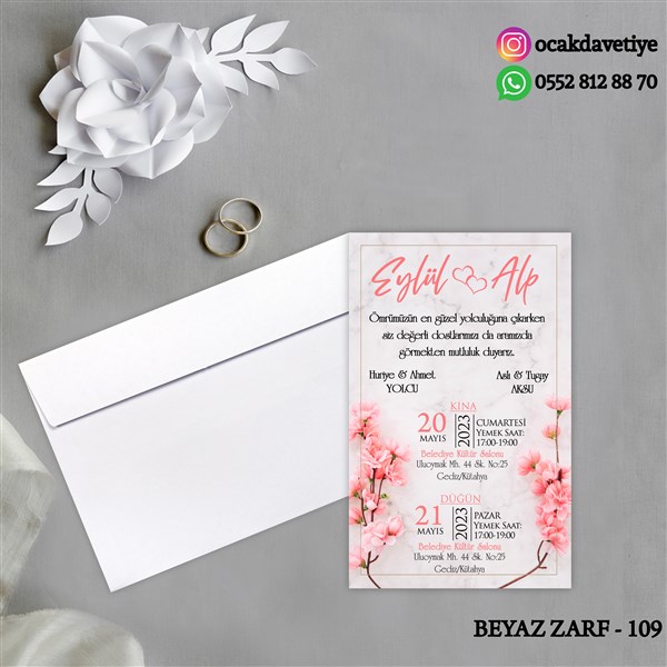 bz109 copy