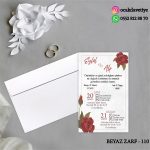 bz110 copy