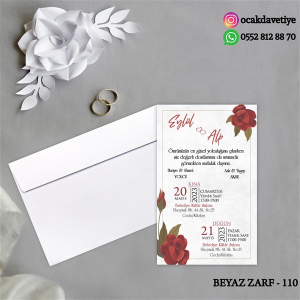 bz110 copy