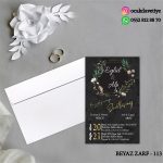 bz113 copy
