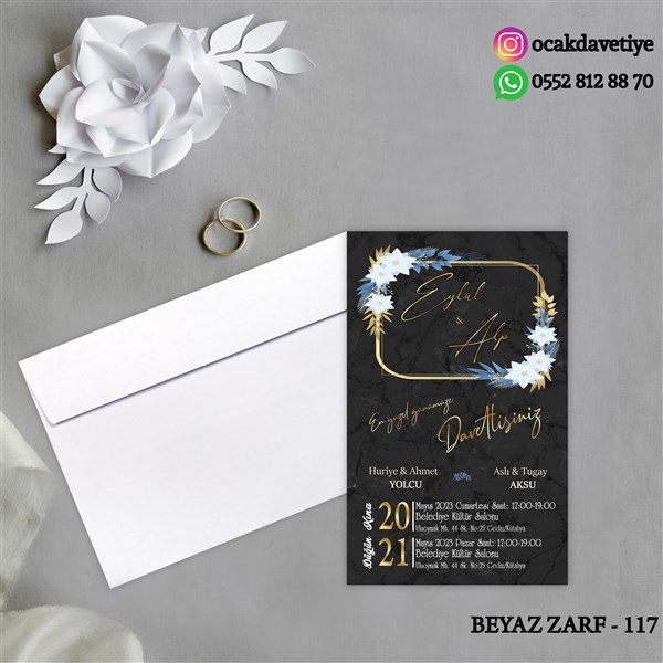 bz117 copy