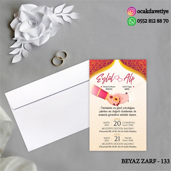 bz133 copy