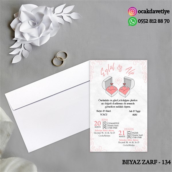 bz134 copy