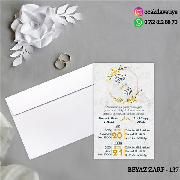 bz137 copy