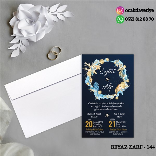 bz144 copy