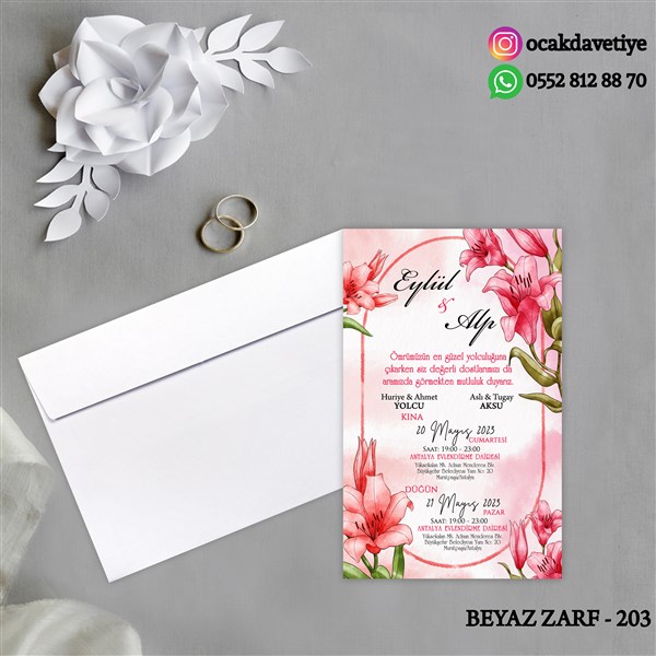 bz203 copy