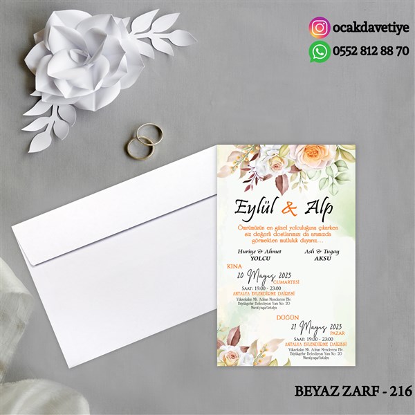 bz216 copy