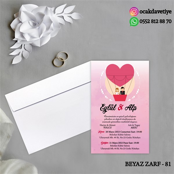 bz81 copy