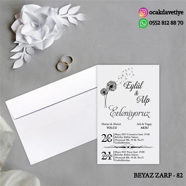 bz82 copy