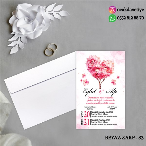 bz83 copy