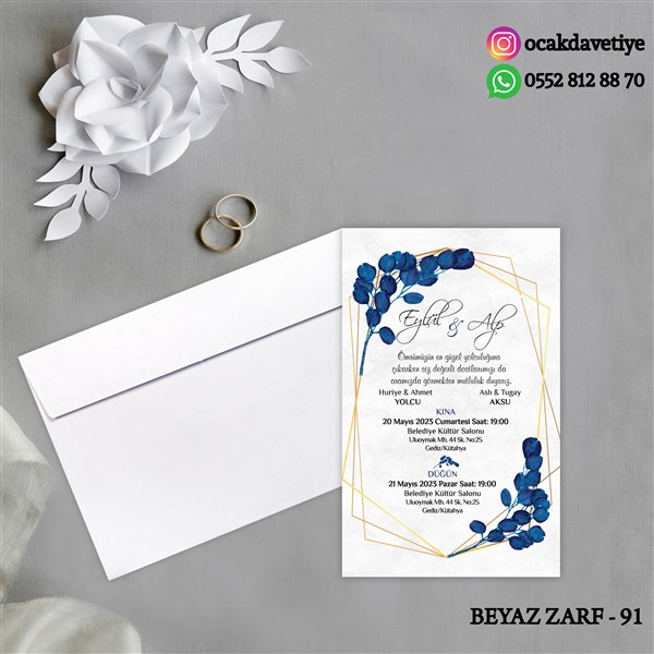 bz91 copy