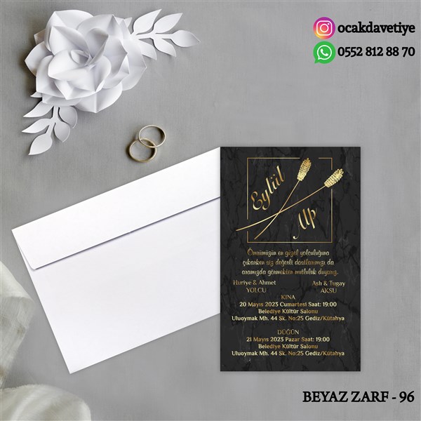 bz96 copy
