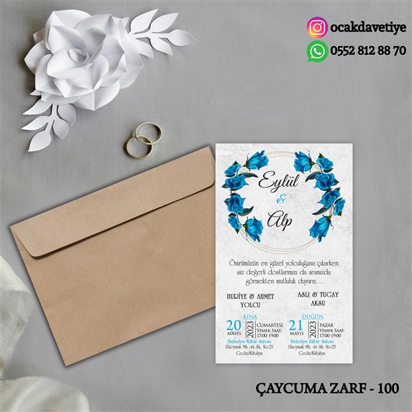 ccz100 copy