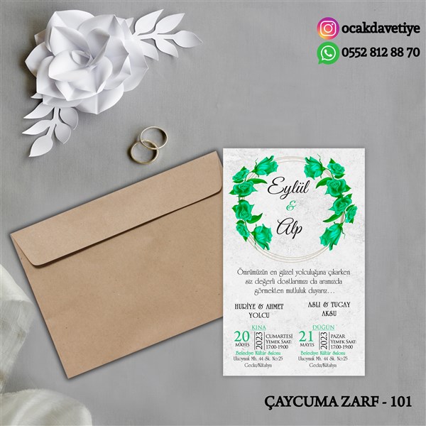 ccz101 copy