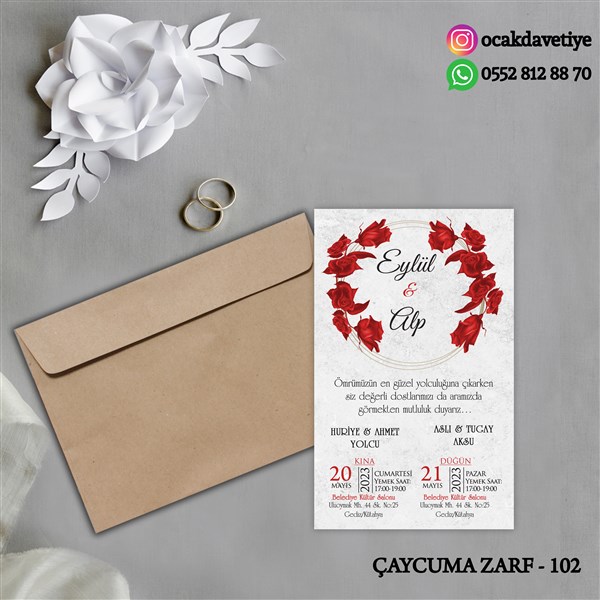 ccz102 copy