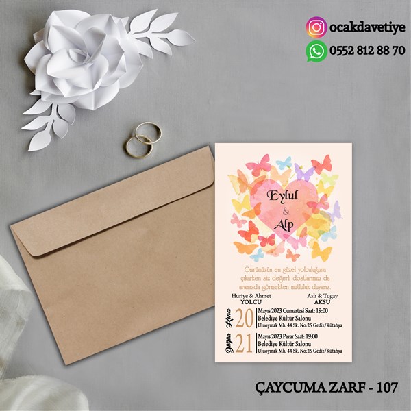 ccz107 copy