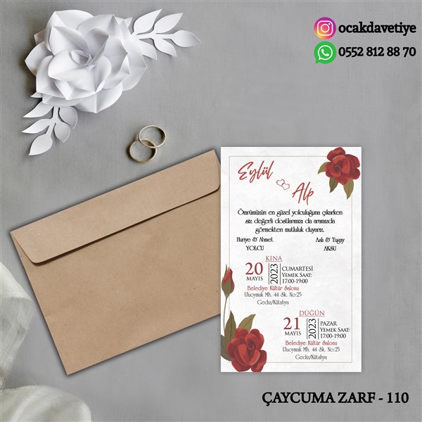 ccz110 copy