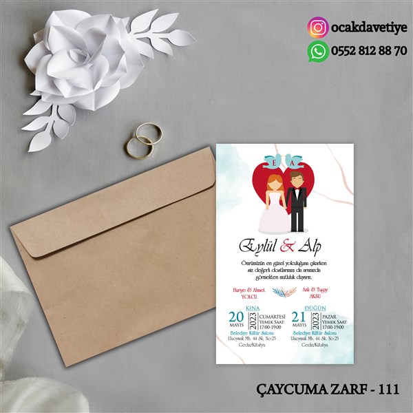ccz111 copy