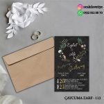 ccz113 copy