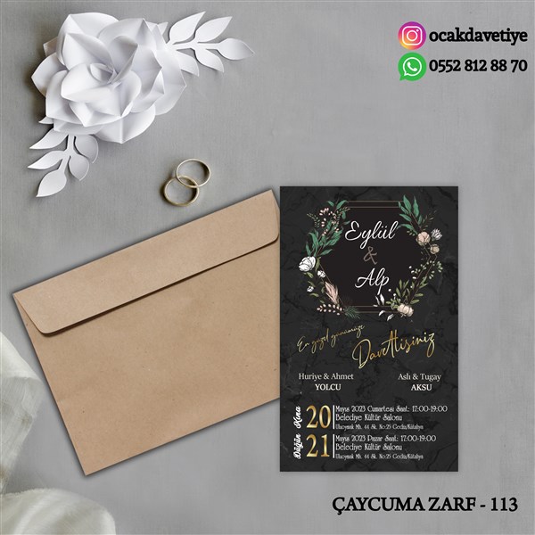 ccz113 copy
