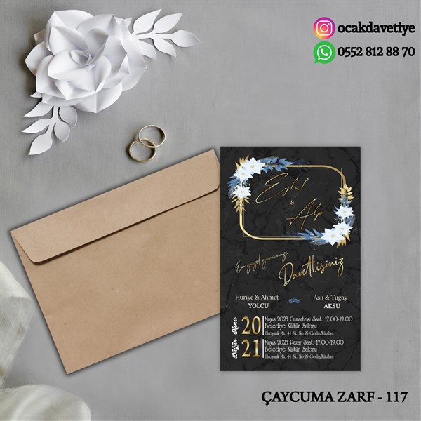 ccz117 copy