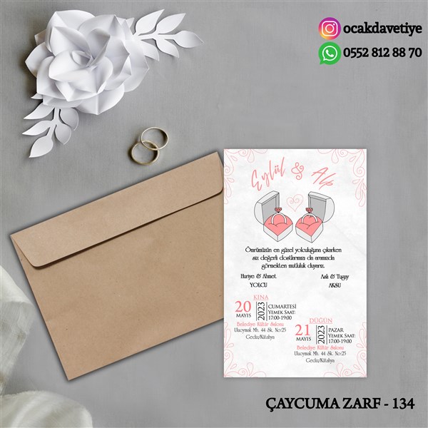 ccz134 copy