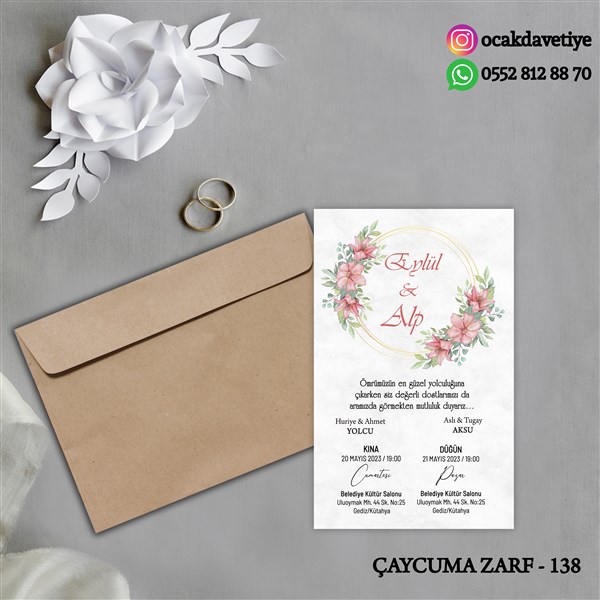 ccz138 copy
