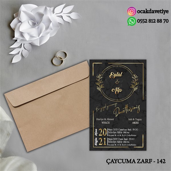 ccz142 copy
