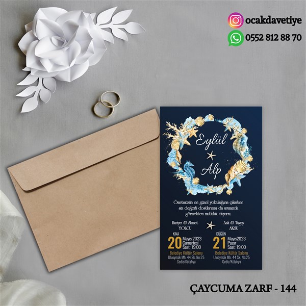 ccz144 copy