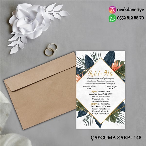 ccz148 copy