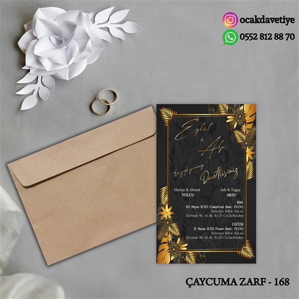ccz168 copy