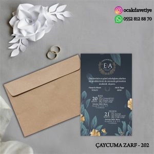 ccz202 copy