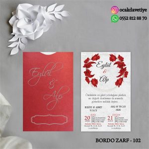 bz102 copy copy