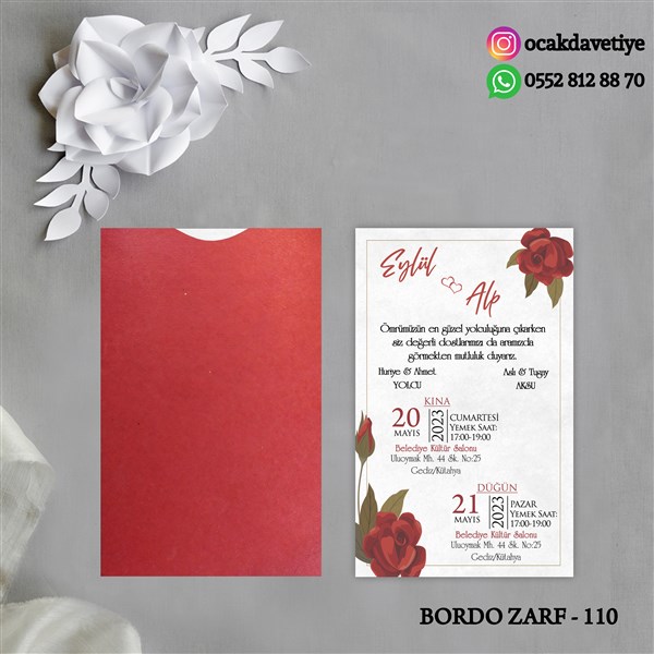 bz110 copy