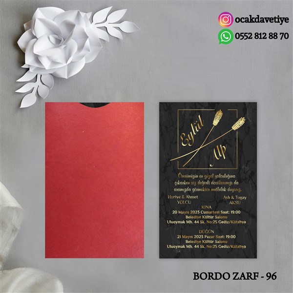 bz96 copy