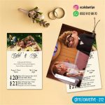 dgn ciftli cd 272