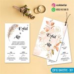dgn ciftli cd 301