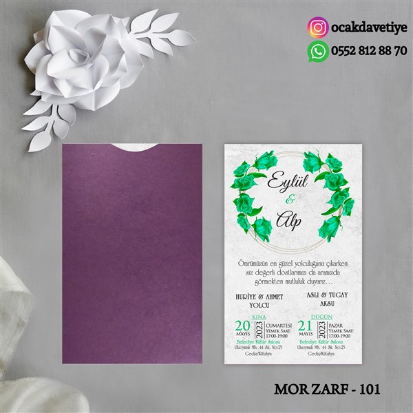 mz101 copy
