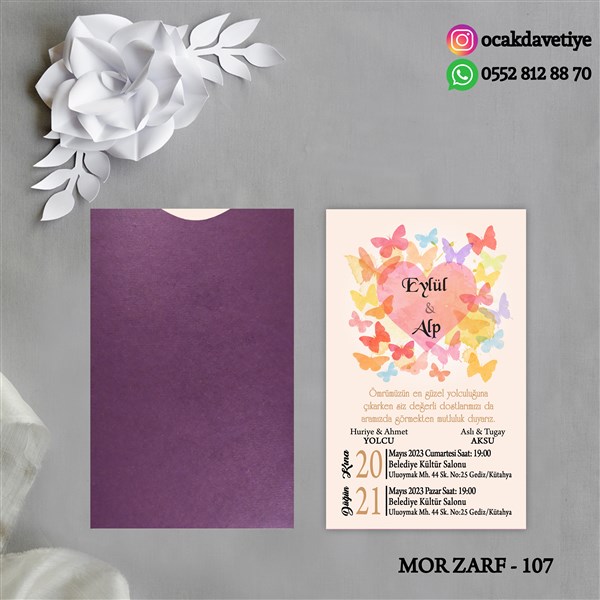 mz107 copy