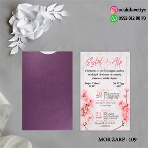 mz109 copy