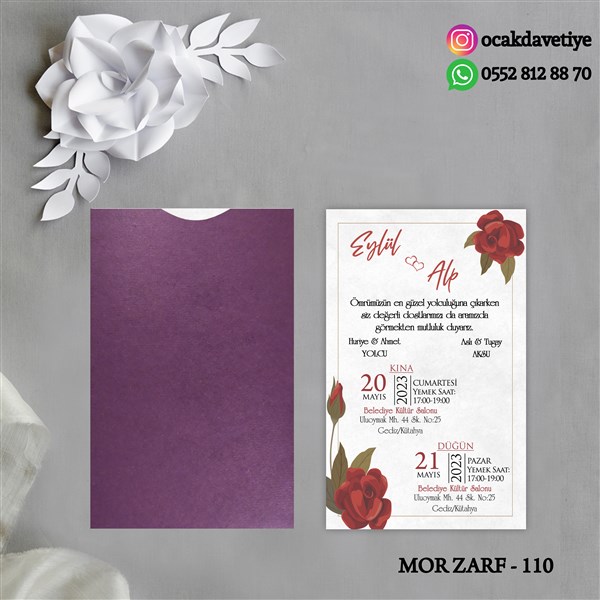 mz110 copy
