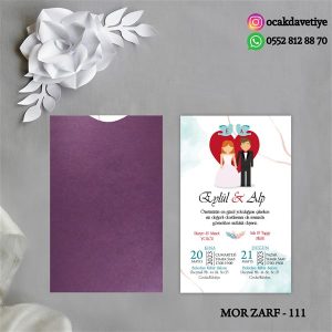 mz111 copy