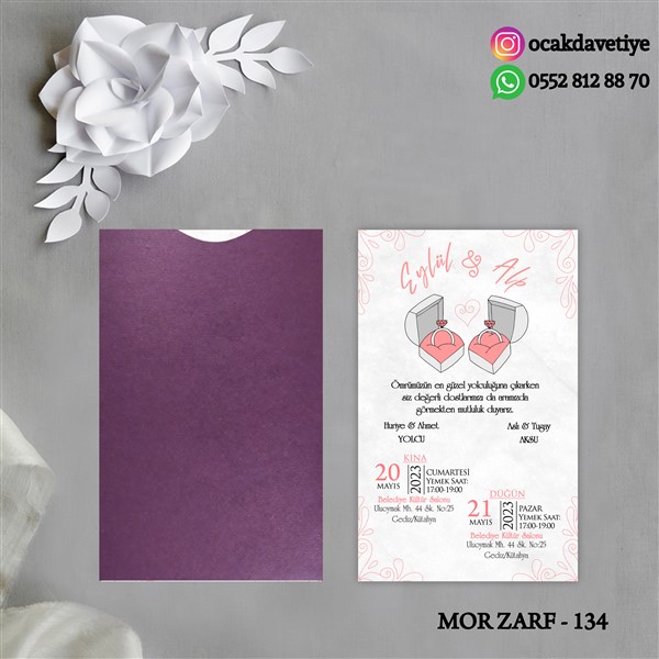 mz134 copy
