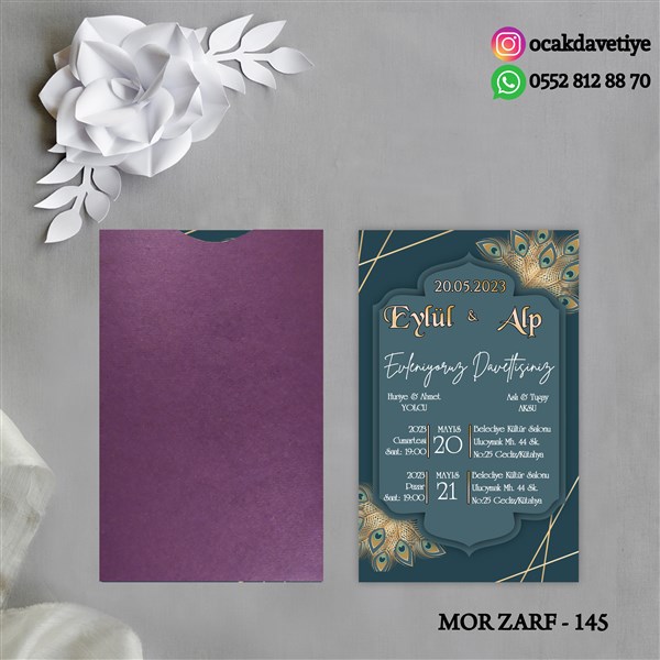mz145 copy