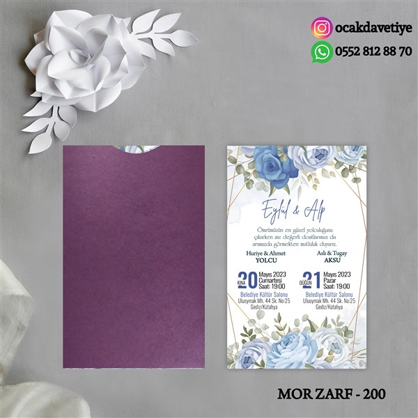 mz200 copy