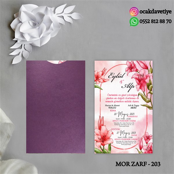 mz203 copy
