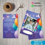 snnt ikili bz162 copy