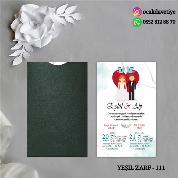 yz111 copy
