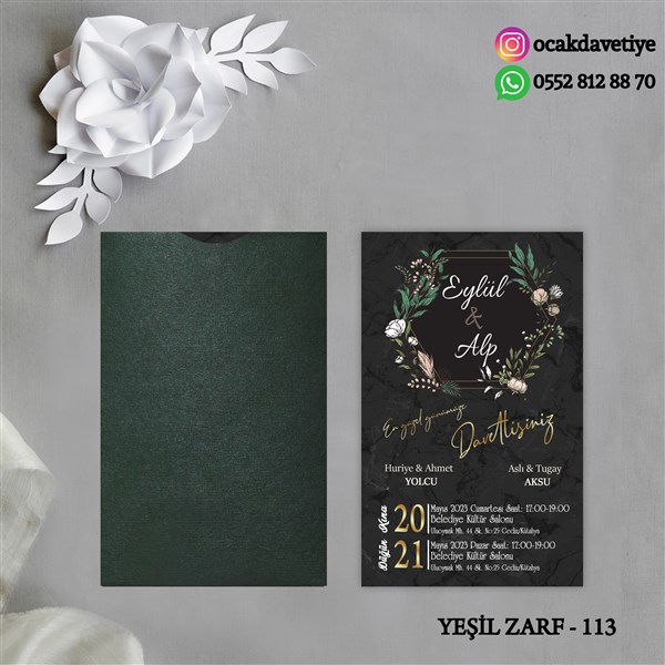 yz113 copy