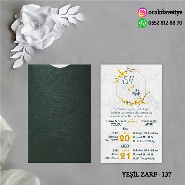 yz137 copy